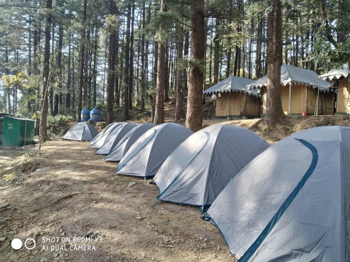 Himtrek Stays,Mcleodganj McLeod Ganj Ngoại thất bức ảnh