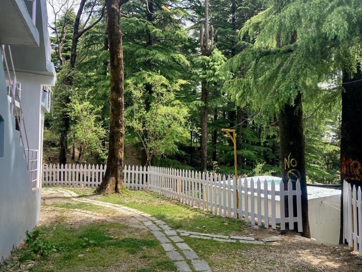 Himtrek Stays,Mcleodganj McLeod Ganj Ngoại thất bức ảnh