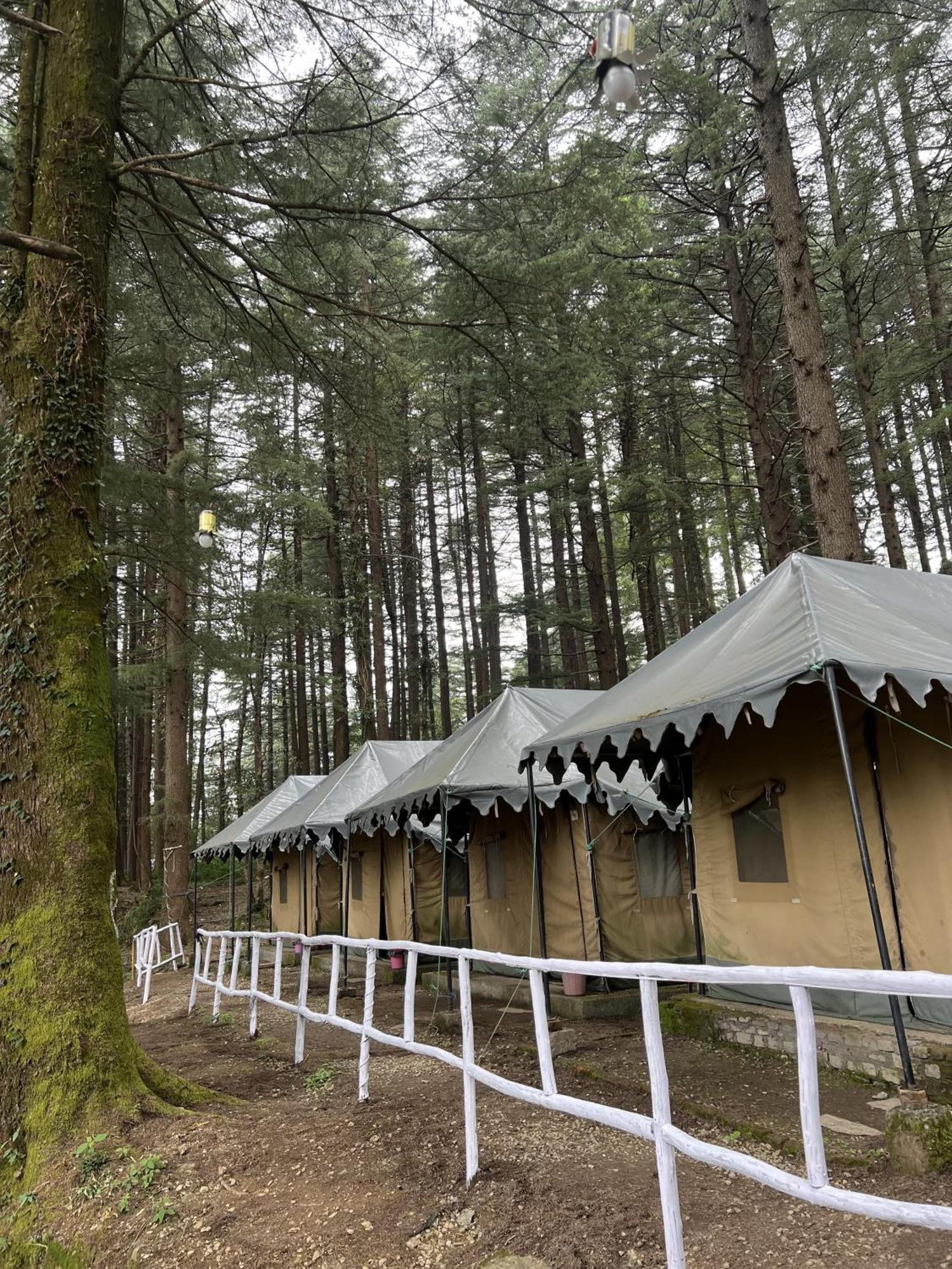 Himtrek Stays,Mcleodganj McLeod Ganj Ngoại thất bức ảnh