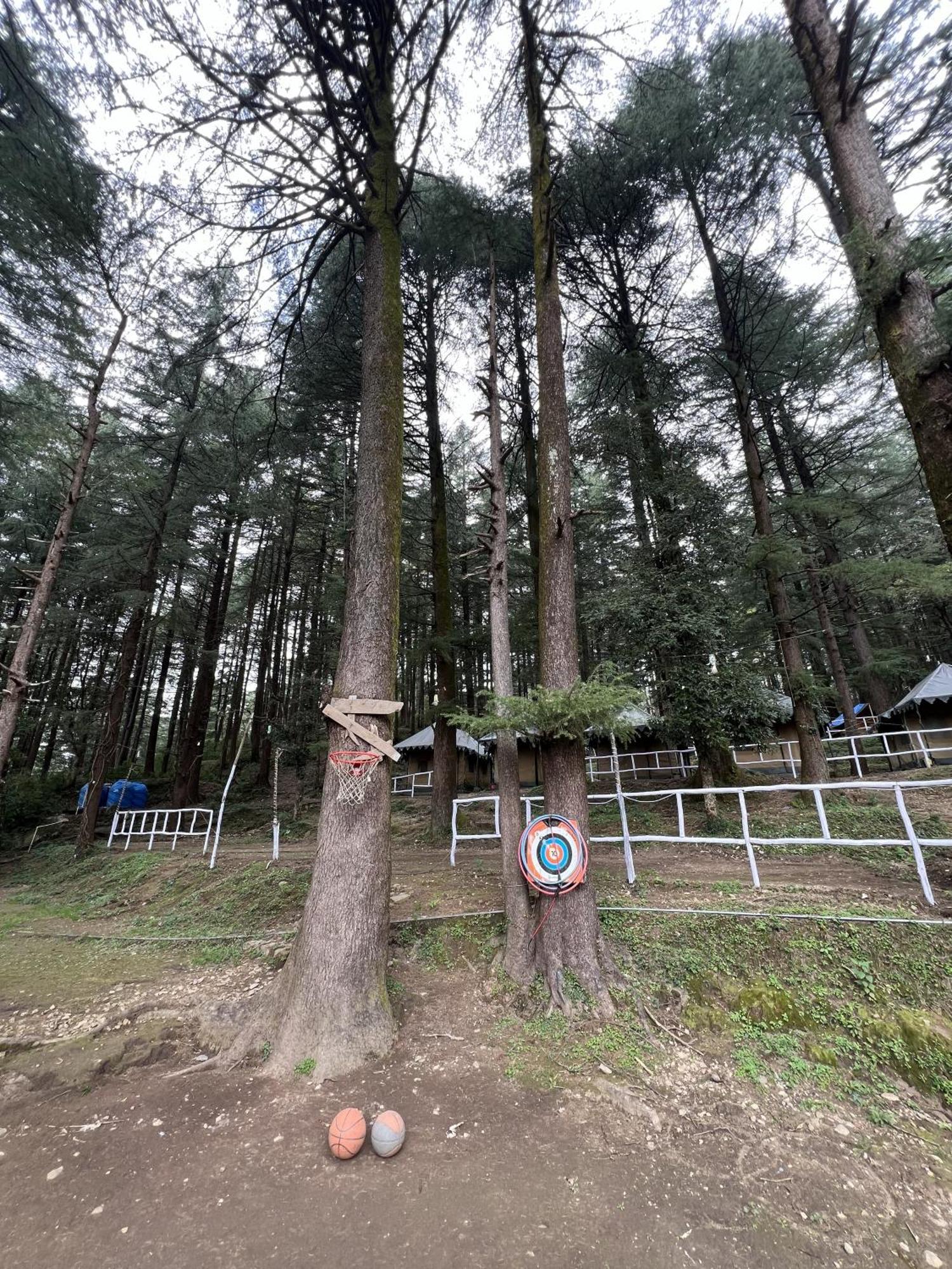 Himtrek Stays,Mcleodganj McLeod Ganj Ngoại thất bức ảnh