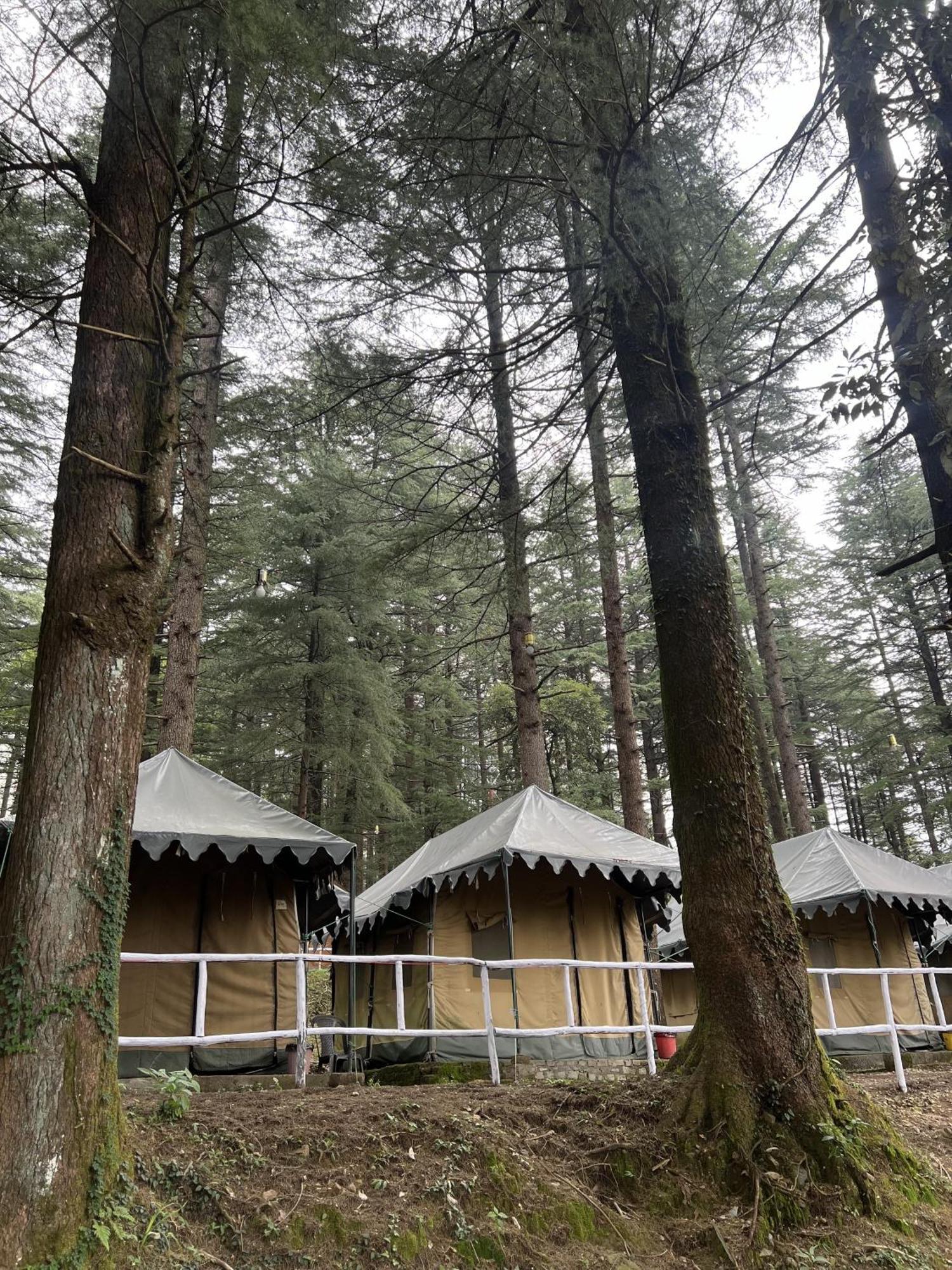 Himtrek Stays,Mcleodganj McLeod Ganj Ngoại thất bức ảnh