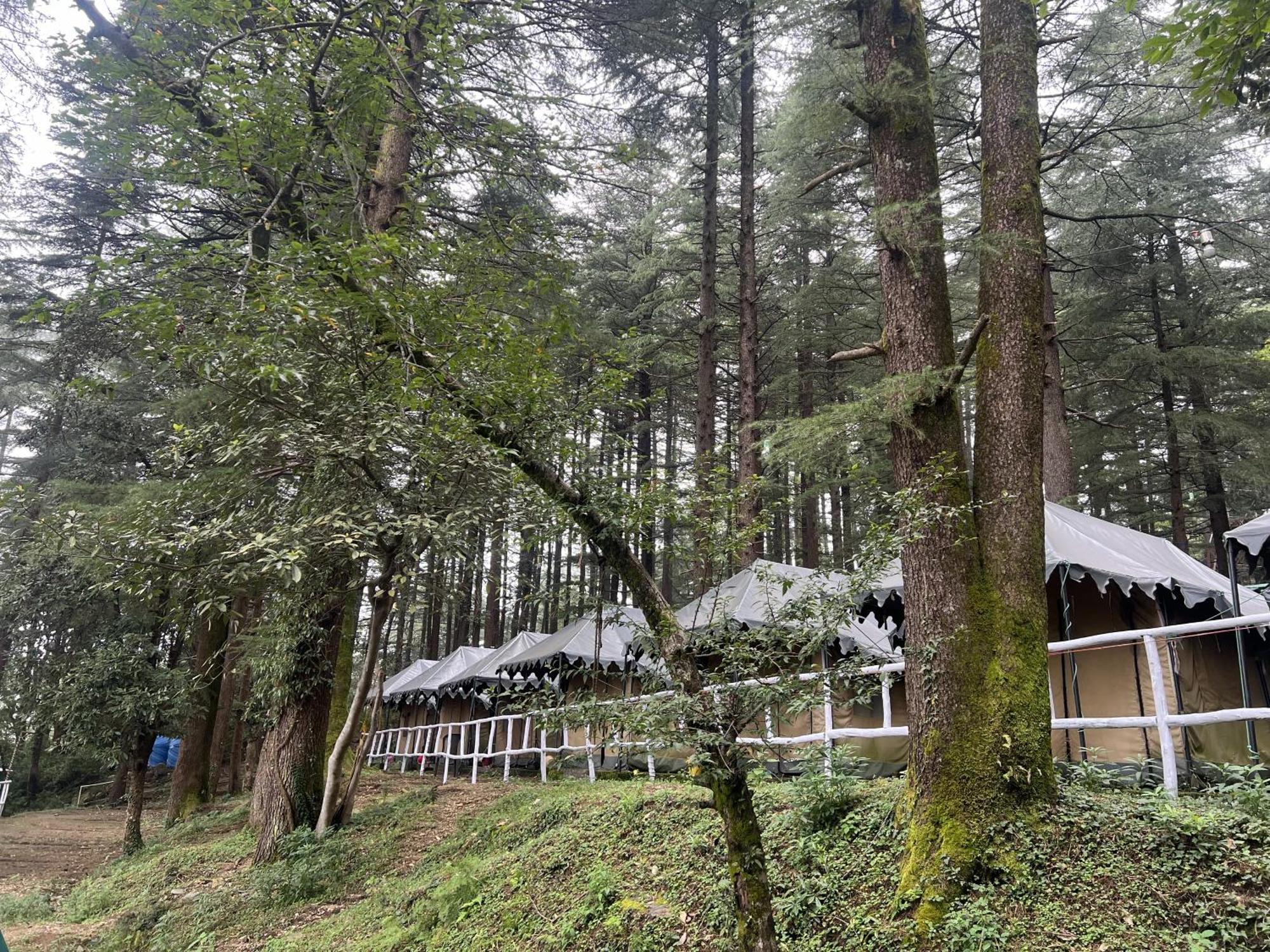 Himtrek Stays,Mcleodganj McLeod Ganj Ngoại thất bức ảnh