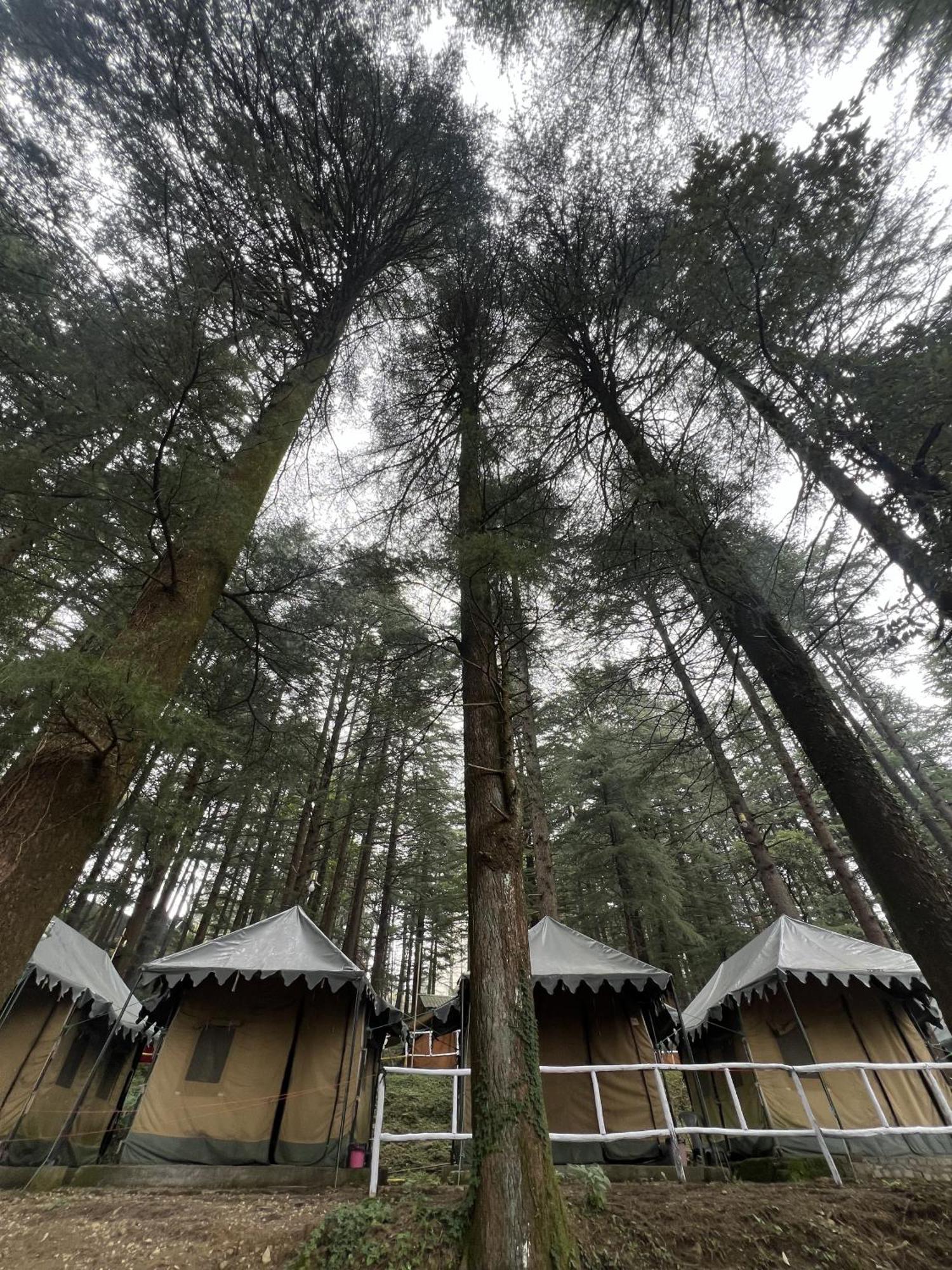 Himtrek Stays,Mcleodganj McLeod Ganj Ngoại thất bức ảnh